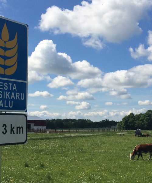 Piesta-apple-farm-signpost-visit-Estonia